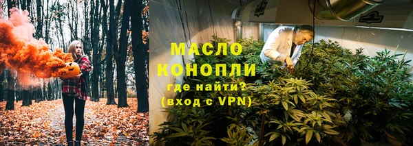 шишки Волоколамск